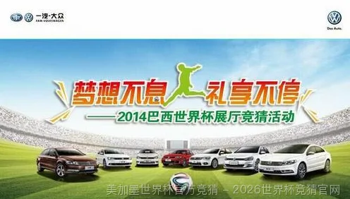 FIFA 中国平台介绍